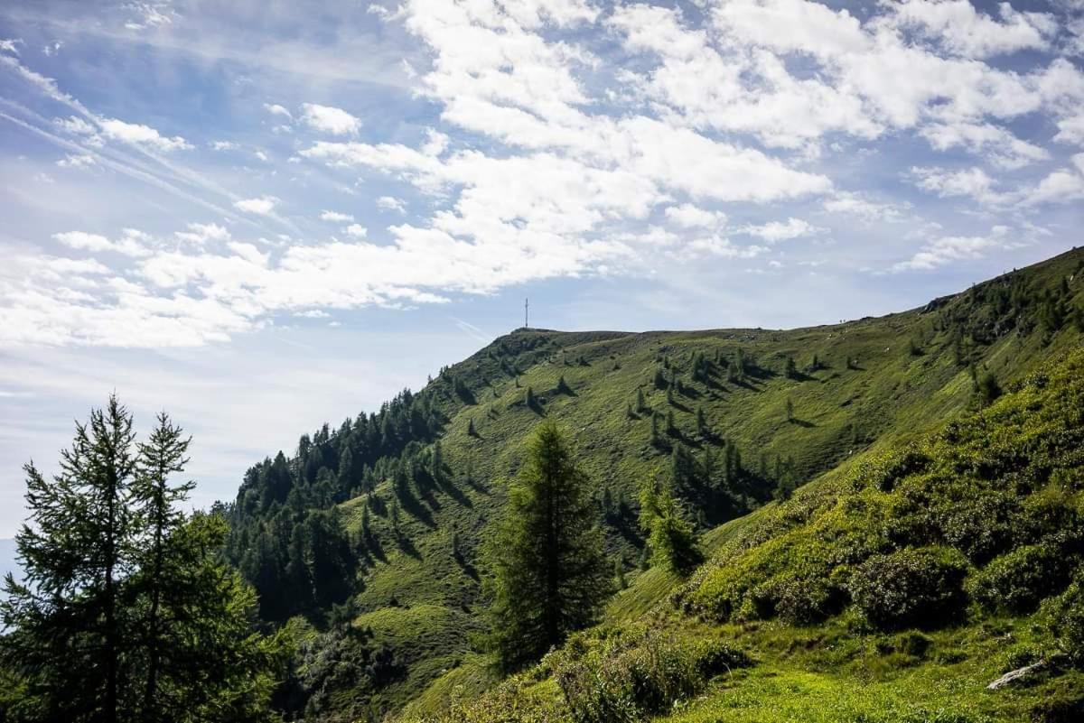 Ferienwohnung Hartlieb Goldeck Millstaettersee Spittal an der Drau Luaran gambar